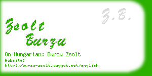 zsolt burzu business card